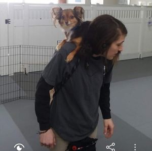 Meet your Posher, Britney